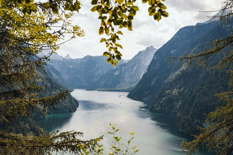 a wide lake surrounded by forest covered mountains