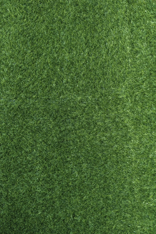 green grass as a backdrop pattern