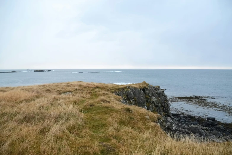 a grassy hill near the ocean with a bench sitting in front of it