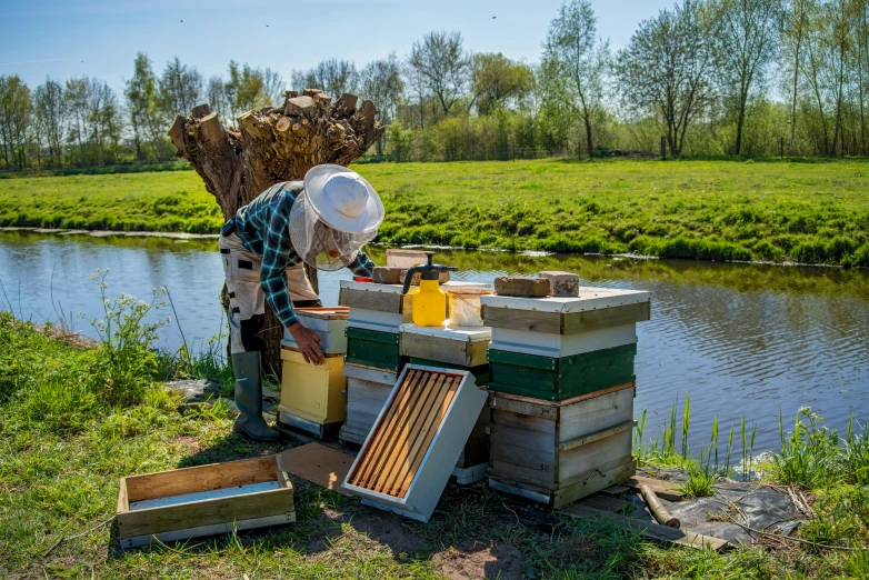 a person stands over some bee boxes next to a river