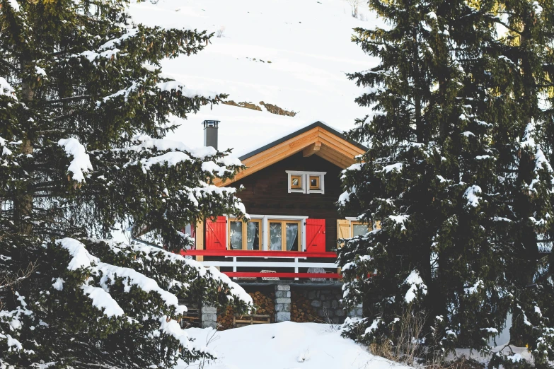 the house is in front of a forest full of pine trees