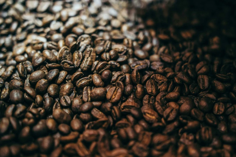 a pile of coffee beans all over the place