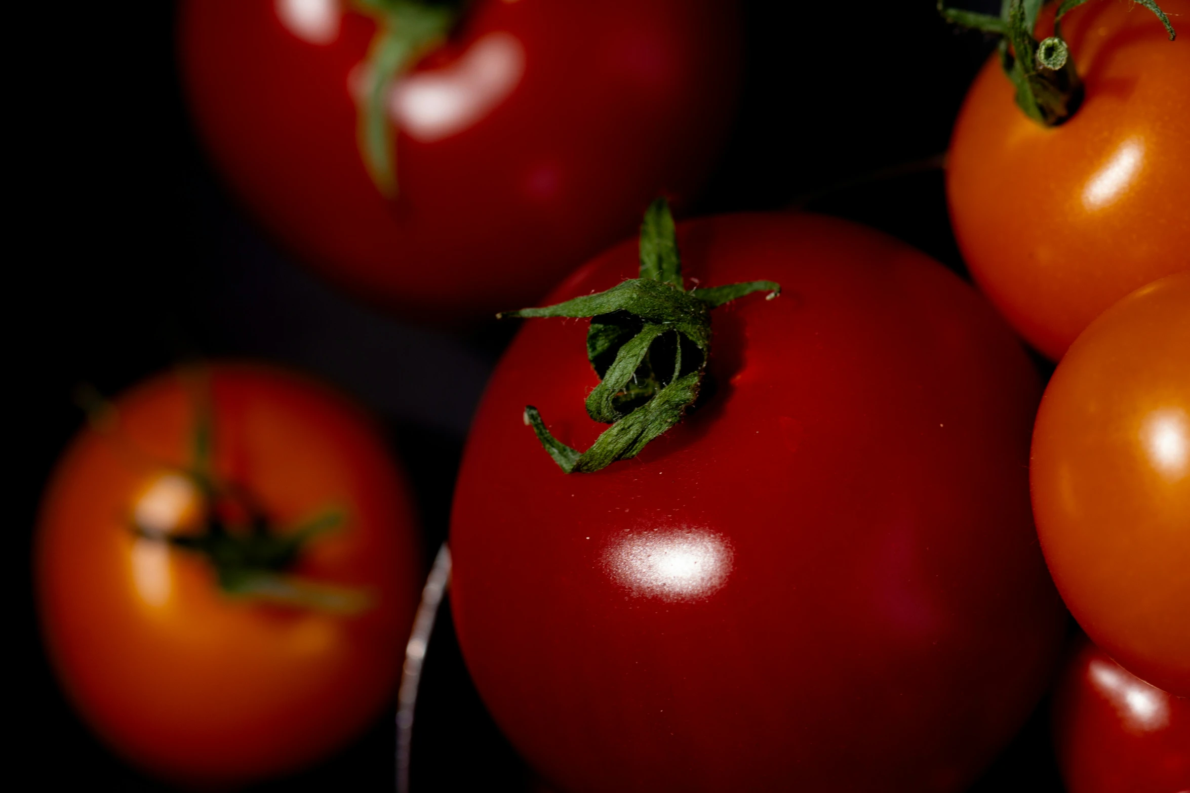 closeup of several different types of tomatoes