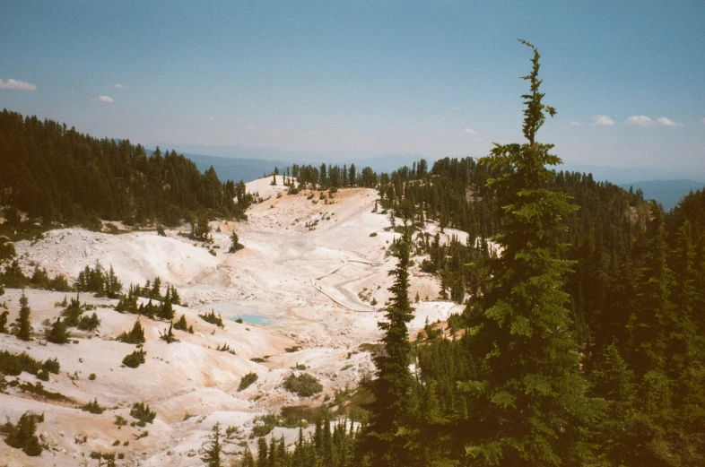 this is a picture of some trees at the top of a mountain