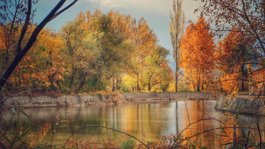 an image of a forest setting with trees reflecting in the lake