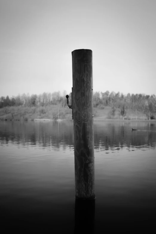 a post sitting next to water in a park