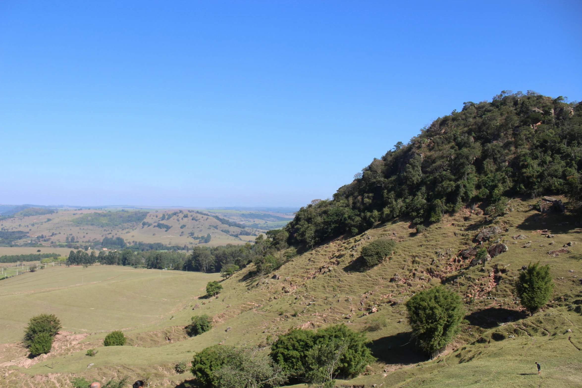 a hill covered with grass next to a lush green hillside