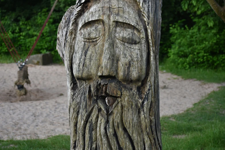 a face on a tree next to a playground