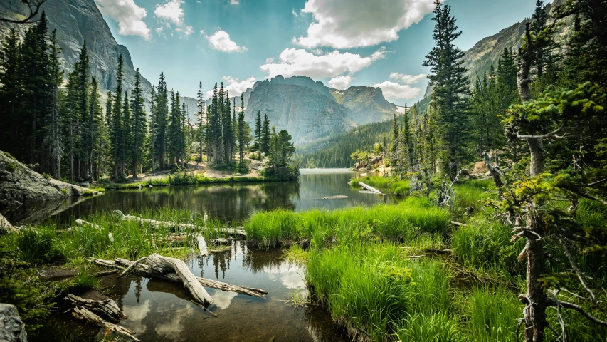 a small pond with trees and mountains in the background