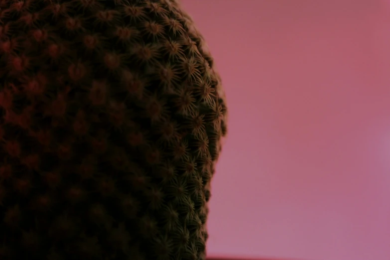 a woman standing in front of a pink wall