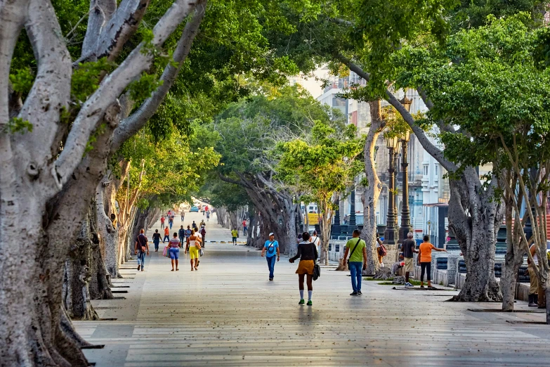 many people walking down a sidewalk lined with trees