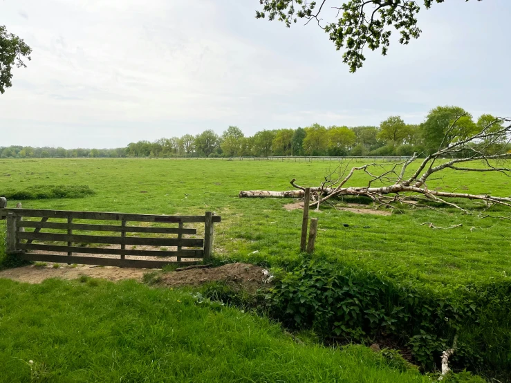 a fenced off in field with grass and trees