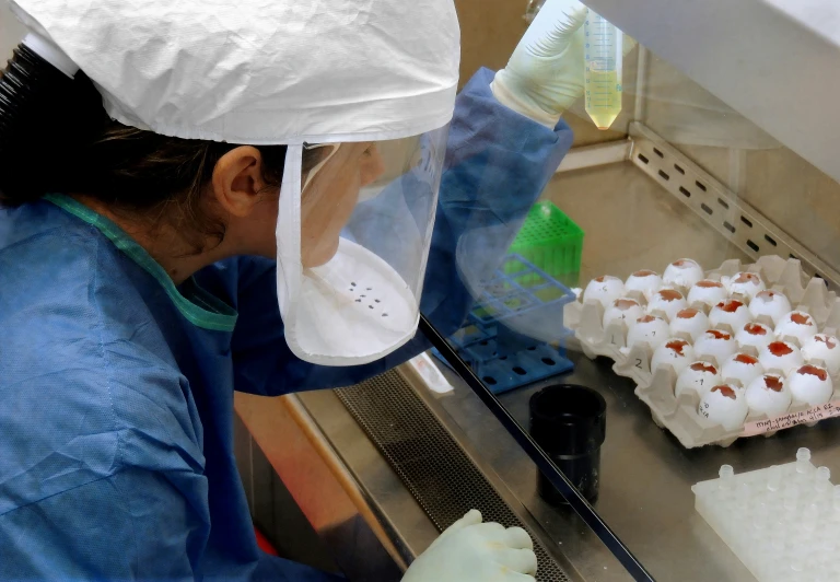 a woman in a factory putting eggs into trays