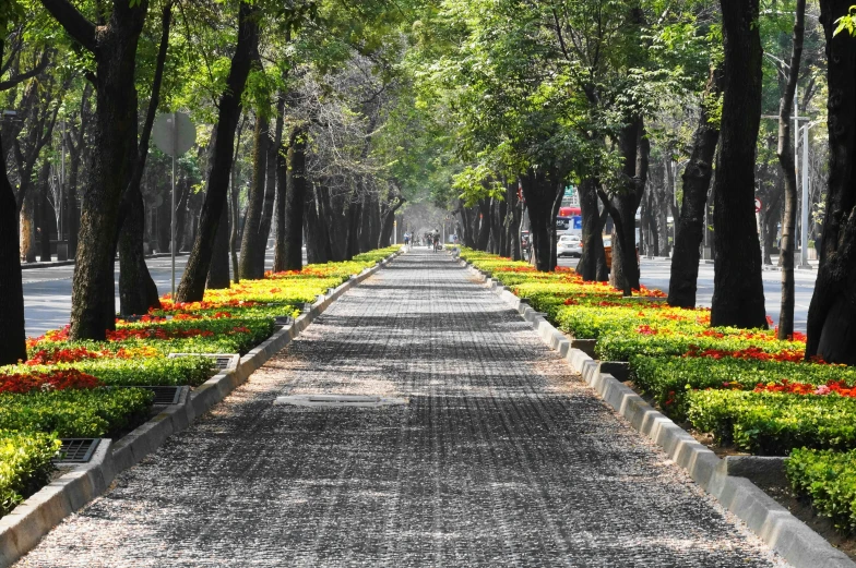 a long paved walkway with trees and flowers along it