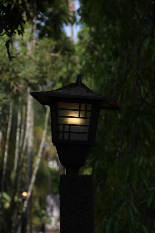 the lantern is illuminated in the night sky