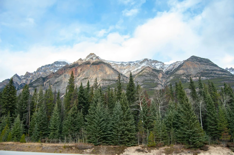 a mountain has snow capped peaks with trees