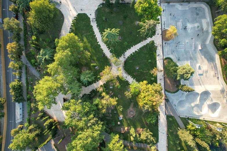 a circular green area has a bench and trees in it