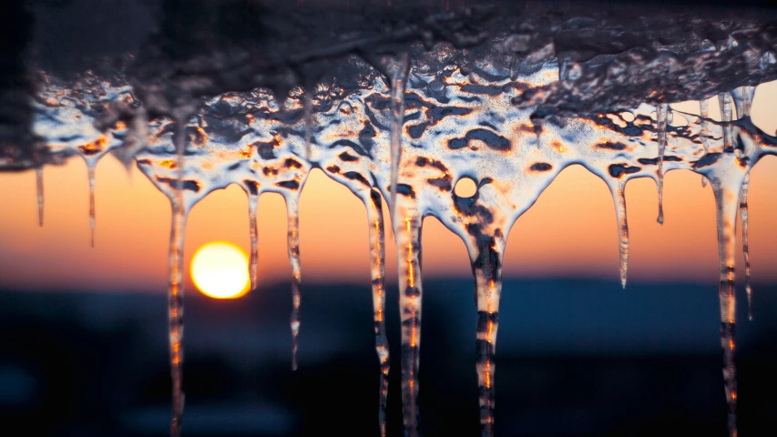 some icicles hanging off the side of trees at sunset