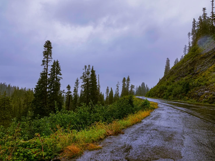 a very long narrow road near the woods