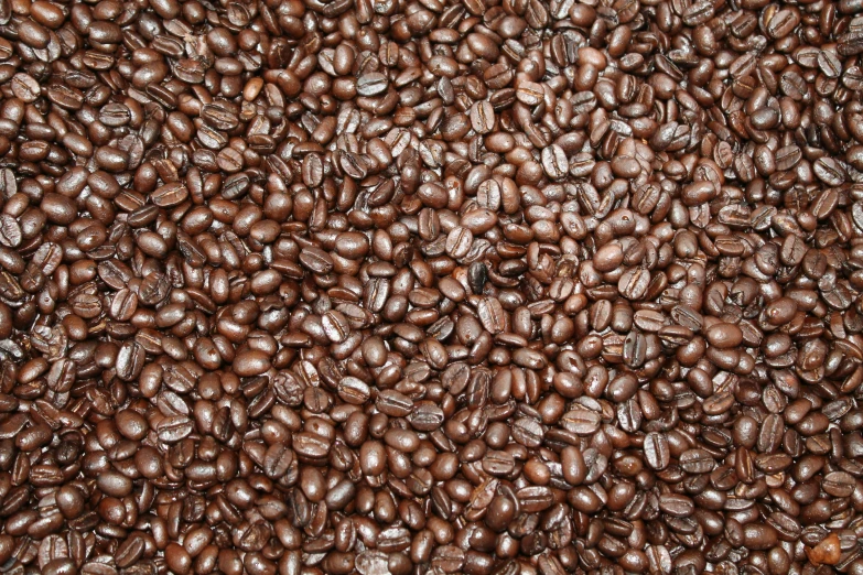 a lot of coffee beans on top of each other