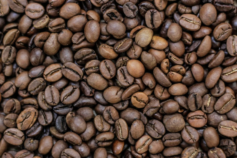 various types of coffee beans piled up together