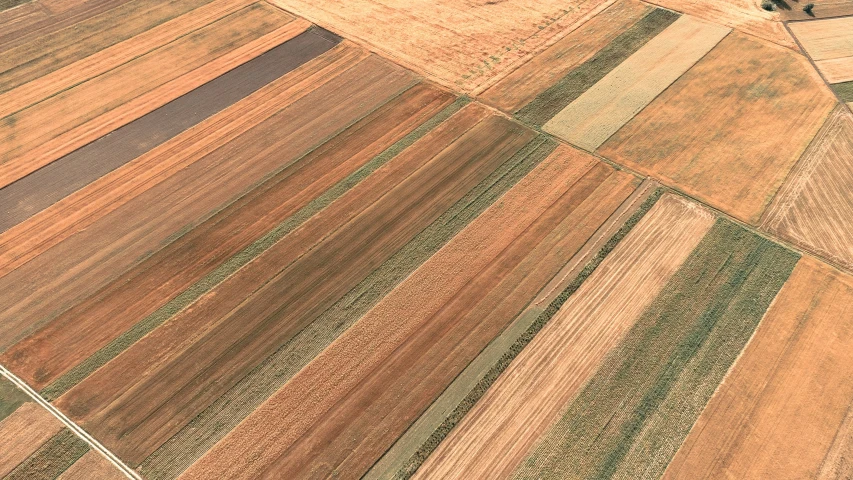 a view of an aerial po of the plowed field