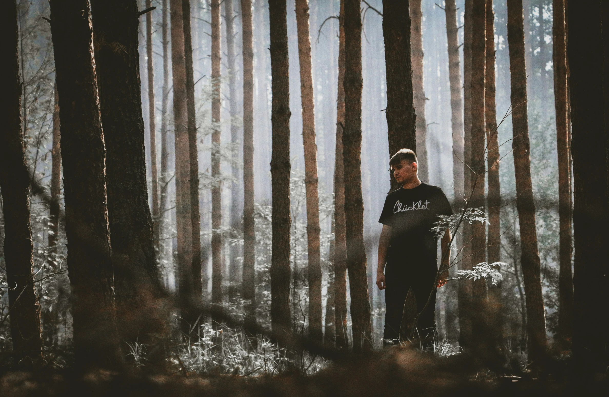 a man standing in the forest holding an umbrella