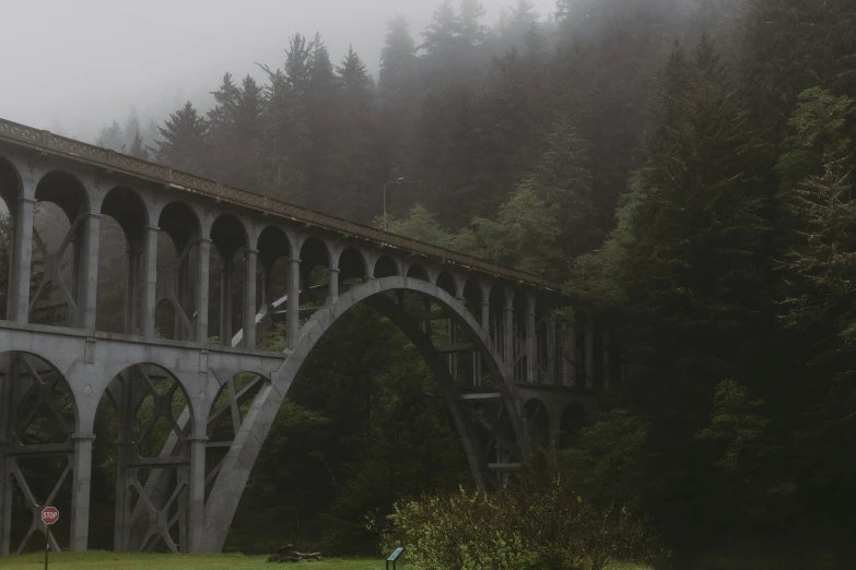 a white bridge over the foggy river near trees