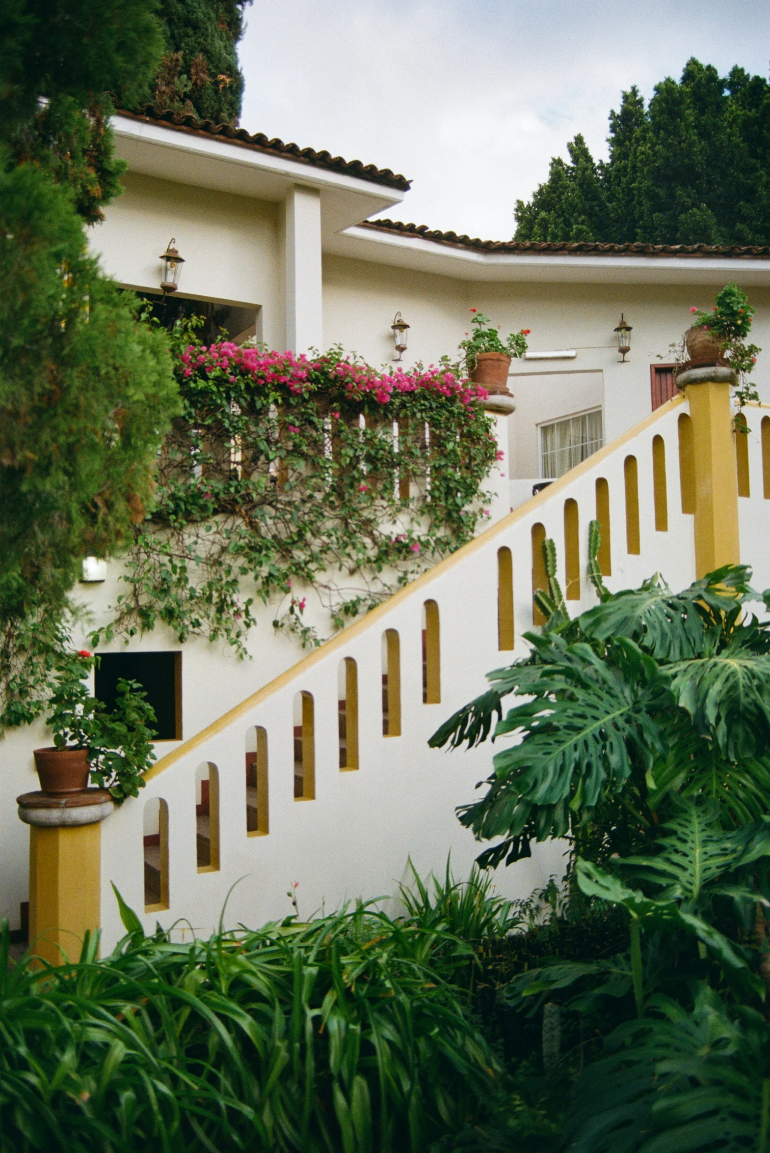 the house has many window boxes and potted plants on the wall
