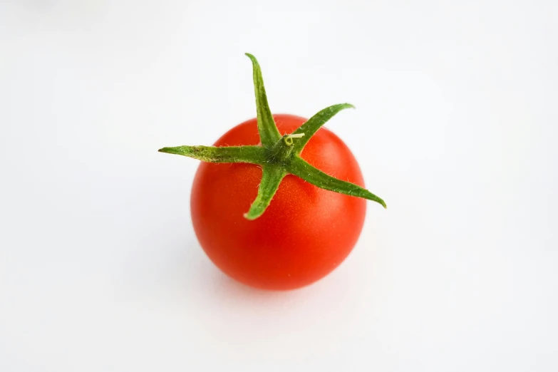 a single tomato that has only one leaf