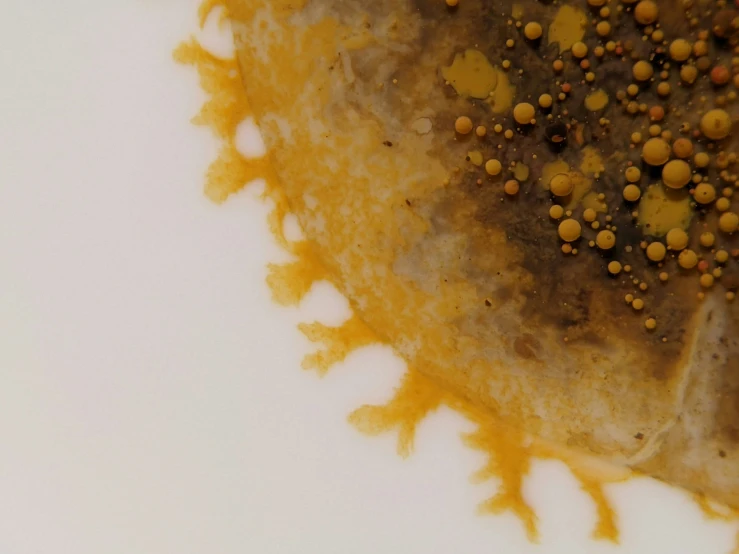 a plate with food on it that is covered in orange liquid