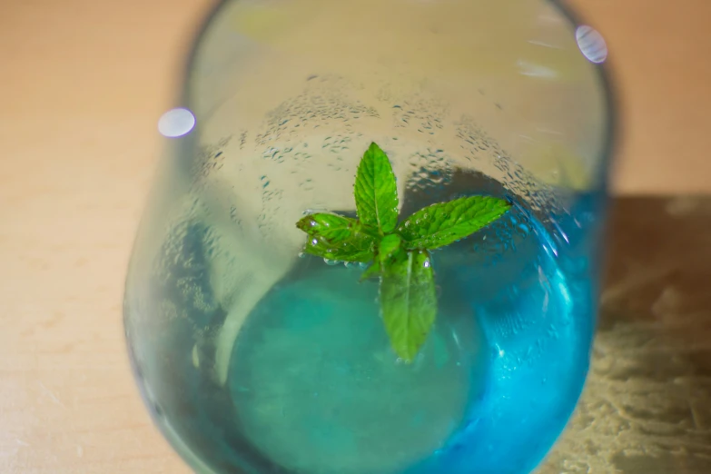 a green leaf in a blue glass with water