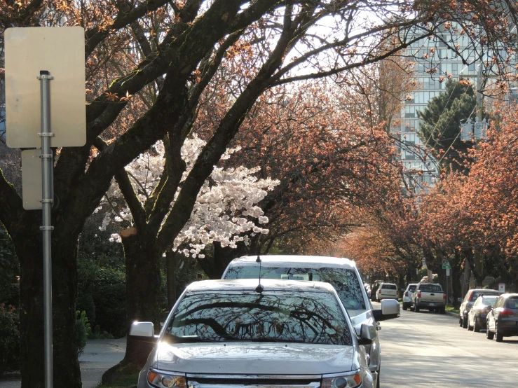 a group of cars parked on the side of a street