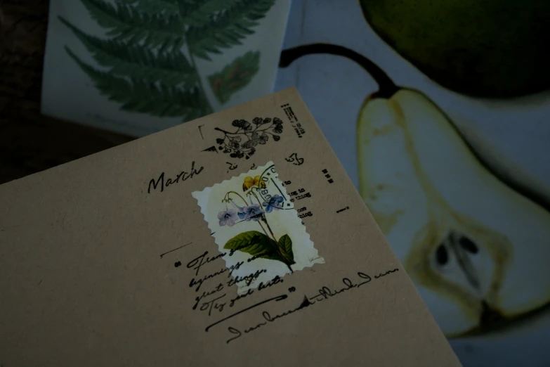 an unused stamp in front of an old green apple