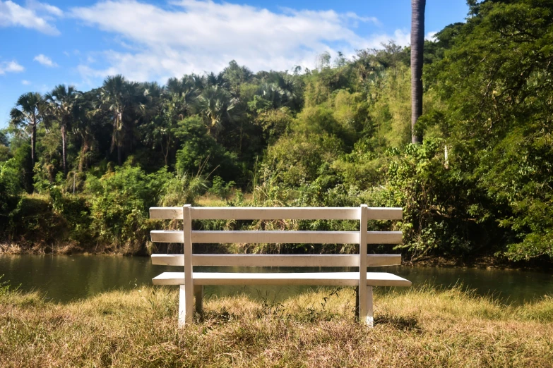 the park bench is beside the water and trees