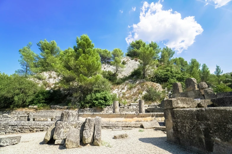 a dirt area with rocks and trees