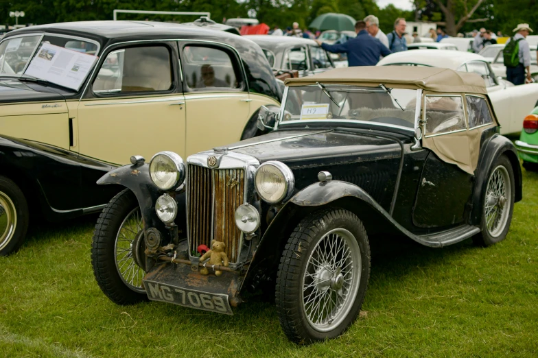 antique automobiles are parked in a field with people watching them