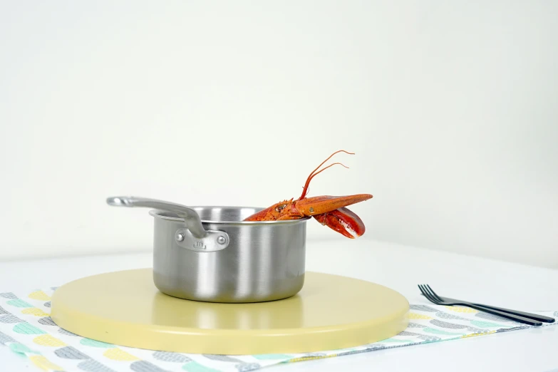 a red lobster is placed in the bottom of a saucepan