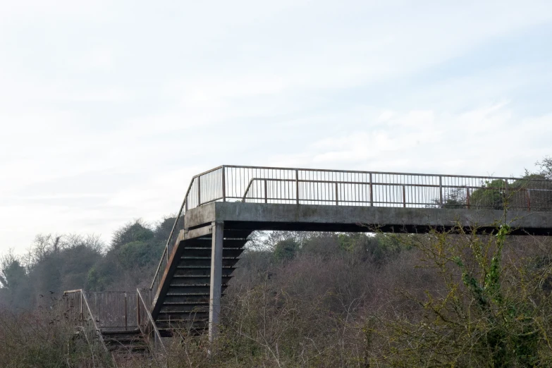 a stair way is in the distance with tall brush near by