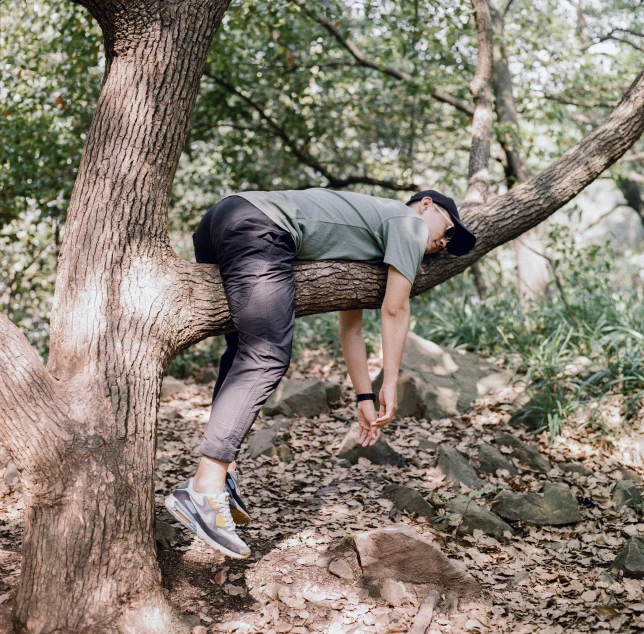 a person hangs upside down on a tree