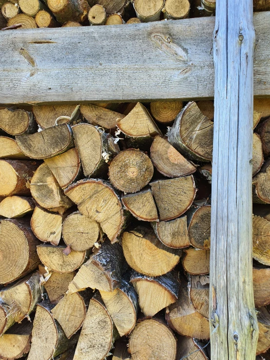 the trunks of logs are lined up behind the wooden planks