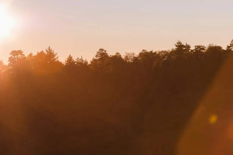 the sun shines brightly on trees and water