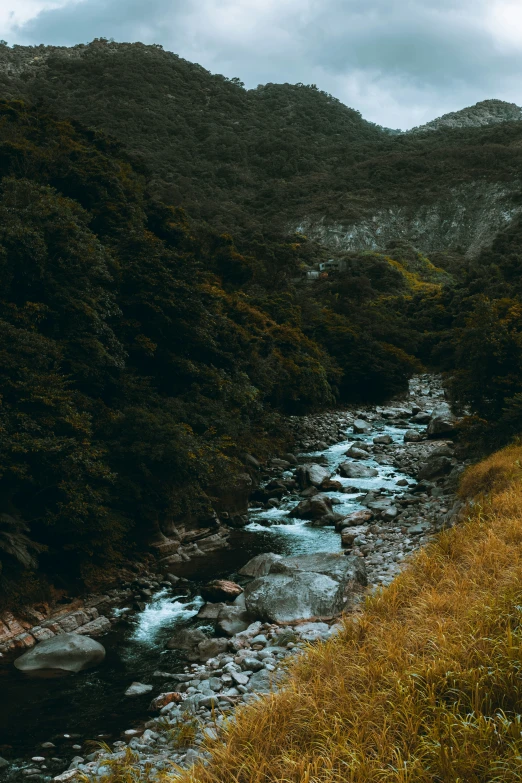 there is a stream running through a mountain side