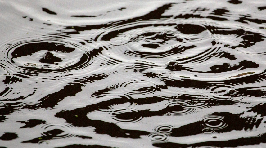 ripples of water form circles on the surface of wet, still wet river waters