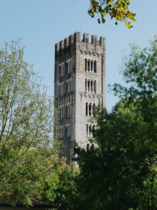 a tall clock tower surrounded by green trees