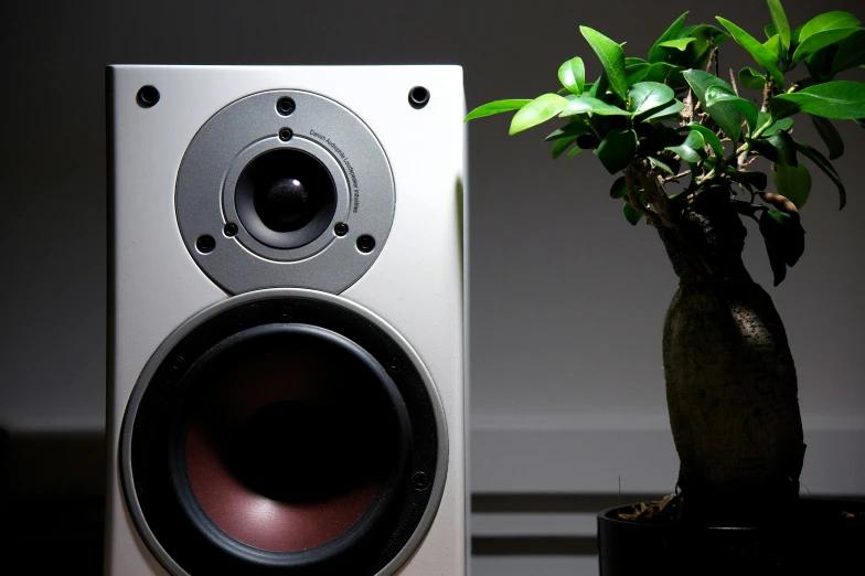 a large speaker sitting next to a potted plant