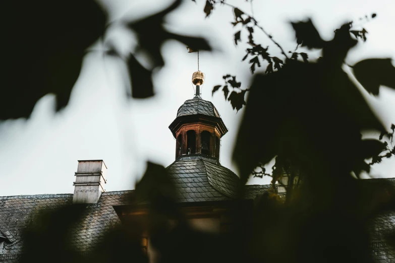 the spire of a building stands tall behind leaves