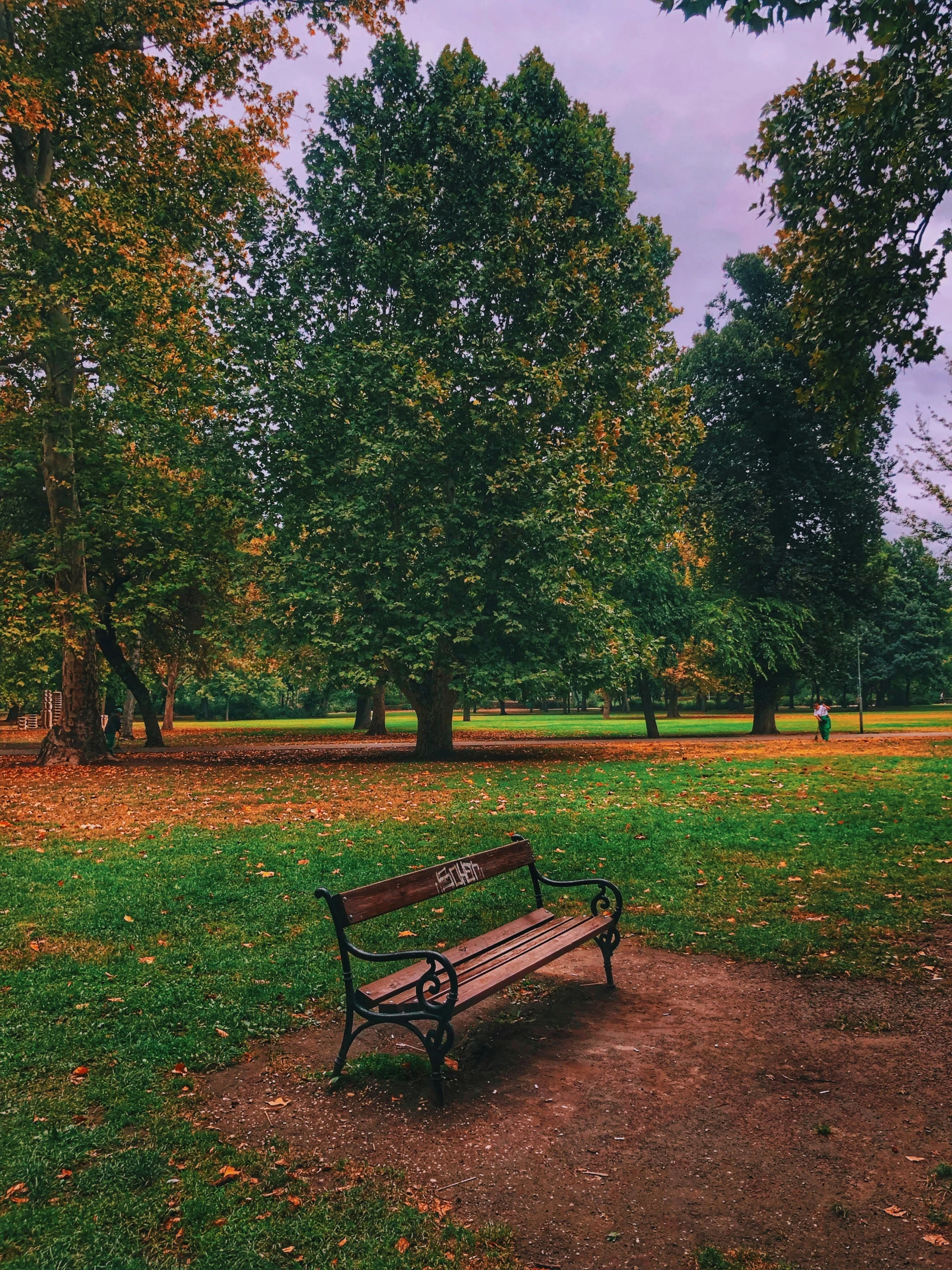 a park bench in the middle of a green field