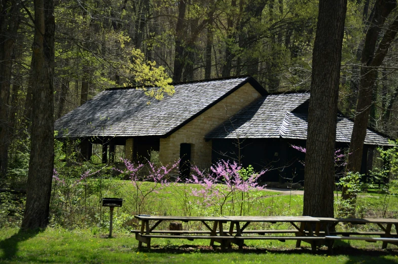 a house in the woods with a picnic table by it