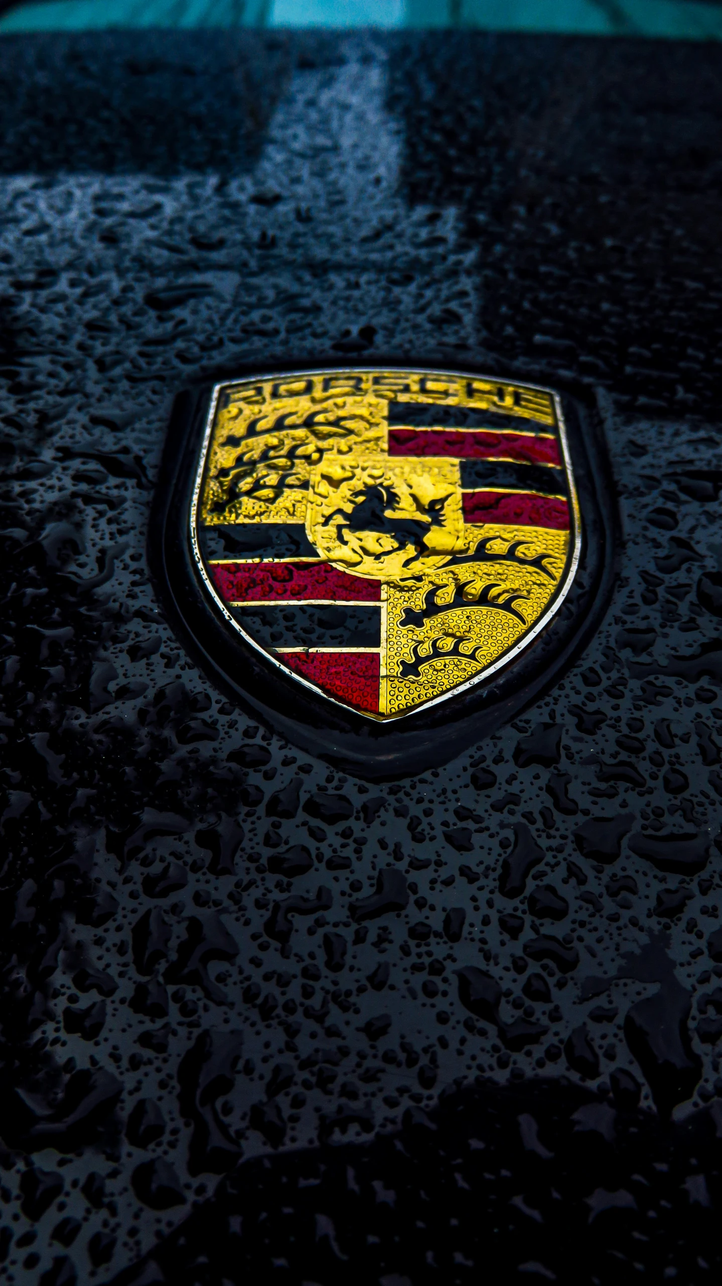 a close up of the rear end of a black porsche car